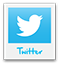 twitter icon